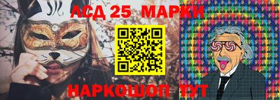 гидропоника Будённовск