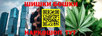 гидропоника Будённовск